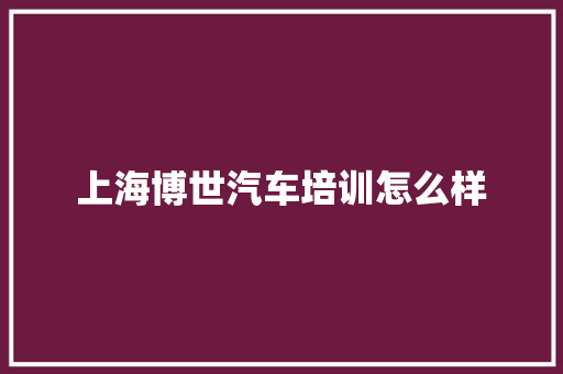 上海博世汽车培训怎么样 学术范文