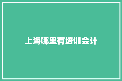 上海哪里有培训会计 学术范文