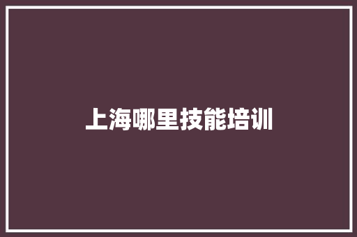 上海哪里技能培训 学术范文