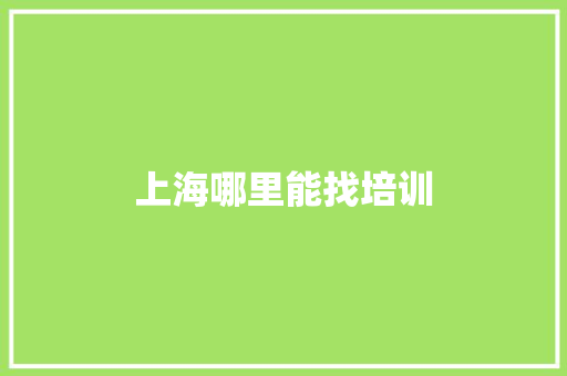 上海哪里能找培训 学术范文