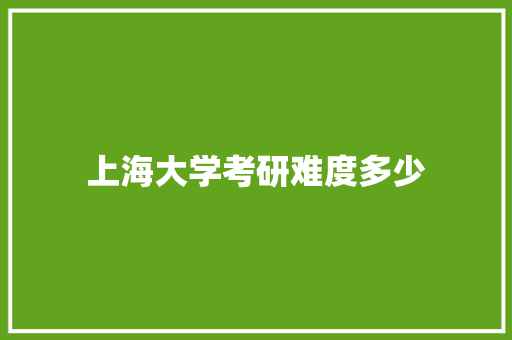 上海大学考研难度多少 学术范文