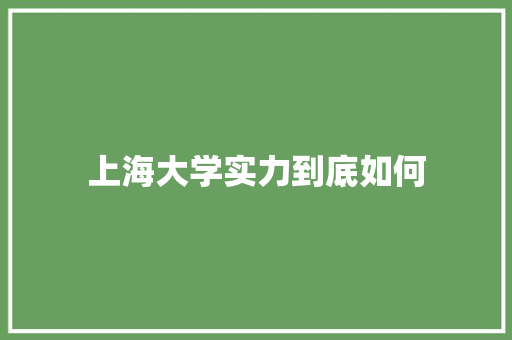 上海大学实力到底如何