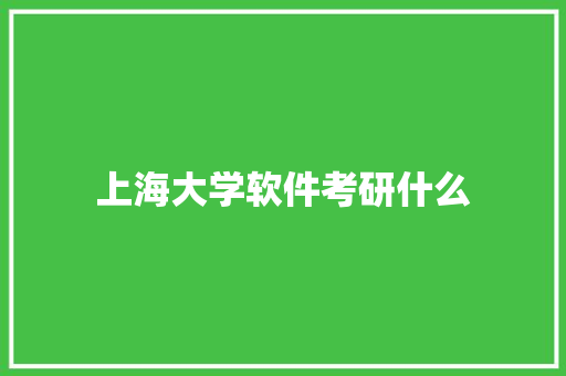 上海大学软件考研什么 学术范文