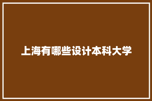 上海有哪些设计本科大学 学术范文