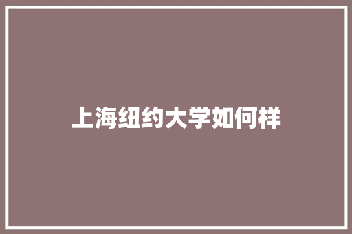 上海纽约大学如何样 学术范文