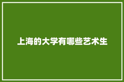 上海的大学有哪些艺术生 学术范文