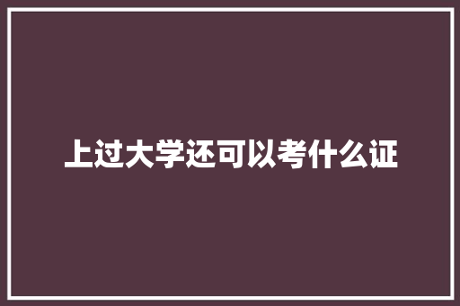 上过大学还可以考什么证 学术范文