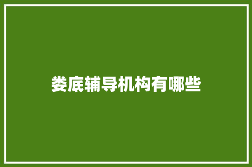 娄底辅导机构有哪些 报告范文