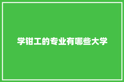 学钳工的专业有哪些大学 申请书范文