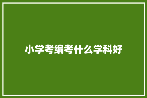 小学考编考什么学科好