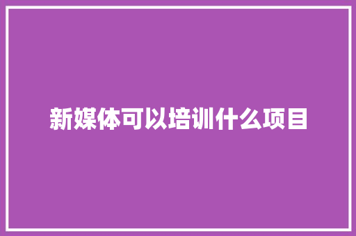 新媒体可以培训什么项目