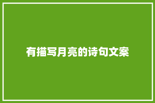 有描写月亮的诗句文案 演讲稿范文