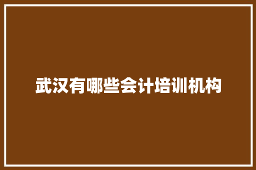 武汉有哪些会计培训机构