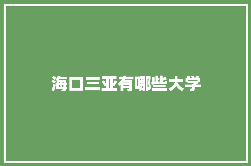 海口三亚有哪些大学 论文范文