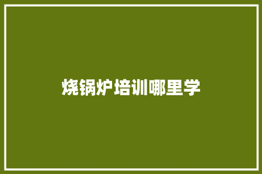 烧锅炉培训哪里学