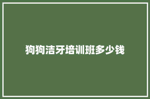 狗狗洁牙培训班多少钱