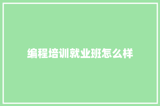 编程培训就业班怎么样