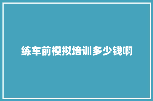 练车前模拟培训多少钱啊