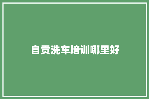 自贡洗车培训哪里好 演讲稿范文