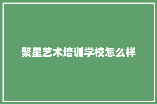 聚星艺术培训学校怎么样