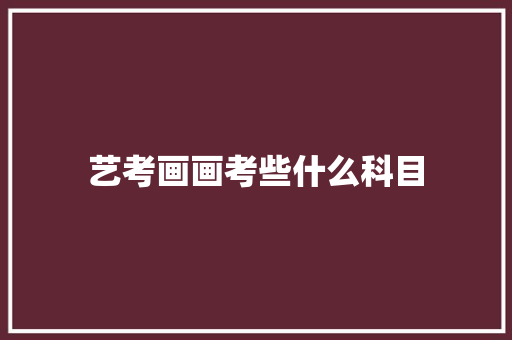 艺考画画考些什么科目