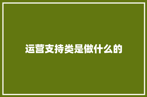 运营支持类是做什么的