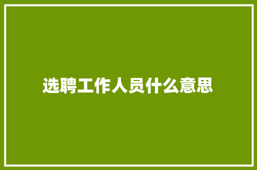 选聘工作人员什么意思