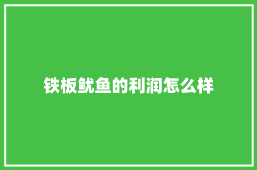 铁板鱿鱼的利润怎么样