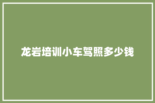 龙岩培训小车驾照多少钱