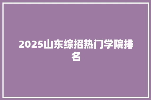 2025山东综招热门学院排名