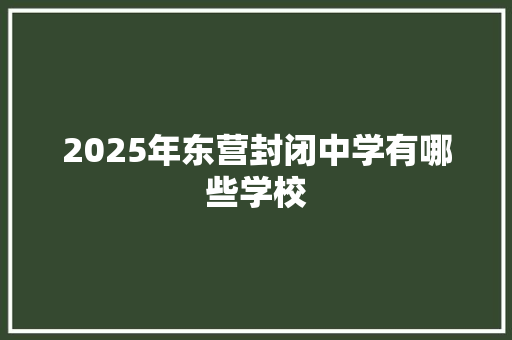 2025年东营封闭中学有哪些学校