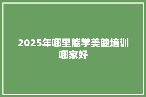 2025年哪里能学美睫培训哪家好