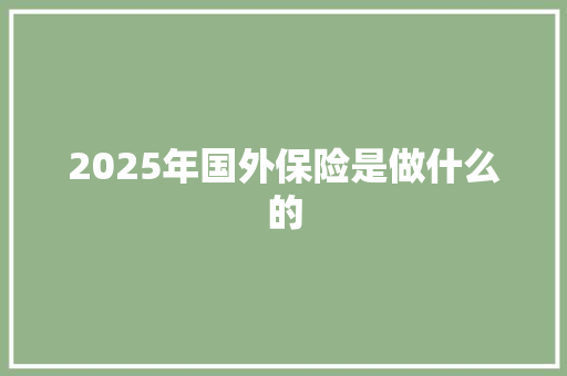 2025年国外保险是做什么的