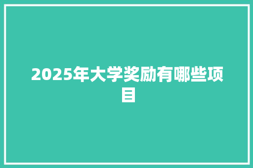 2025年大学奖励有哪些项目