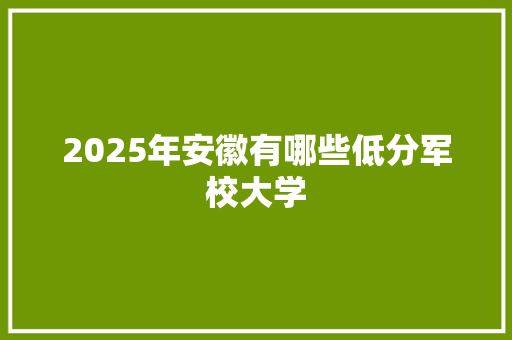 2025年安徽有哪些低分军校大学