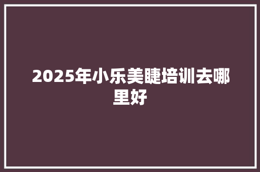 2025年小乐美睫培训去哪里好