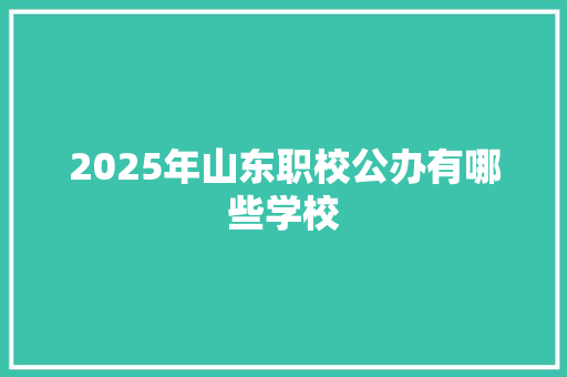 2025年山东职校公办有哪些学校