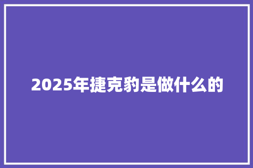 2025年捷克豹是做什么的