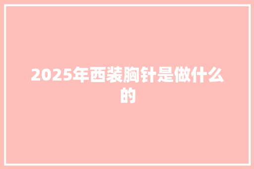 2025年西装胸针是做什么的