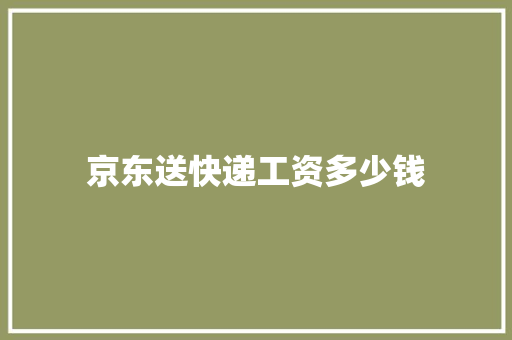 京东送快递工资多少钱