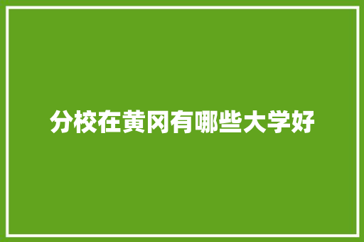 分校在黄冈有哪些大学好