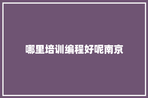 哪里培训编程好呢南京 职场范文