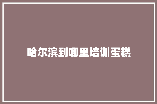 哈尔滨到哪里培训蛋糕 会议纪要范文