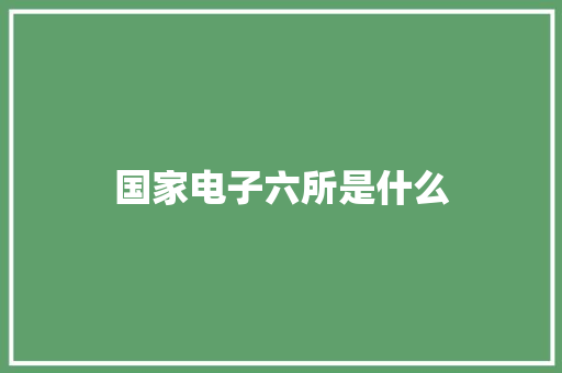 国家电子六所是什么