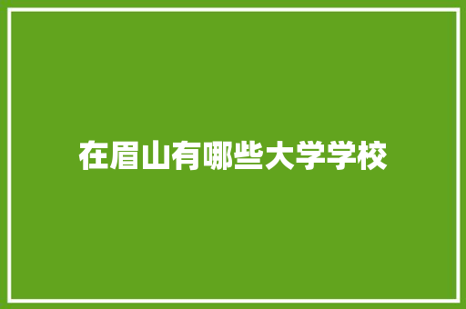 在眉山有哪些大学学校