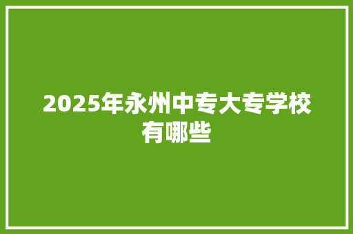 2025年永州中专大专学校有哪些 论文范文