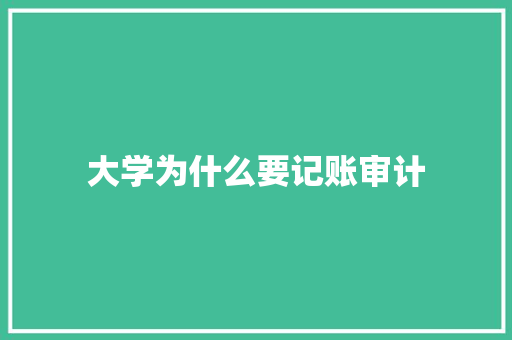 大学为什么要记账审计