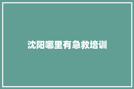 沈阳哪里有急救培训