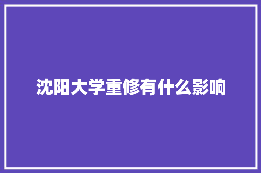 沈阳大学重修有什么影响