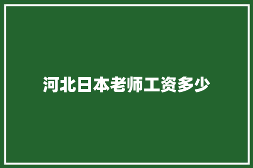 河北日本老师工资多少